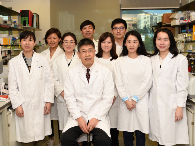 Professor Chen Honglin (middle in the first row), Professor of State Key Laboratory for Emerging Infectious Diseases and Department of Microbiology, Li Ka Shing Faculty of Medicine, HKU, and the research team.